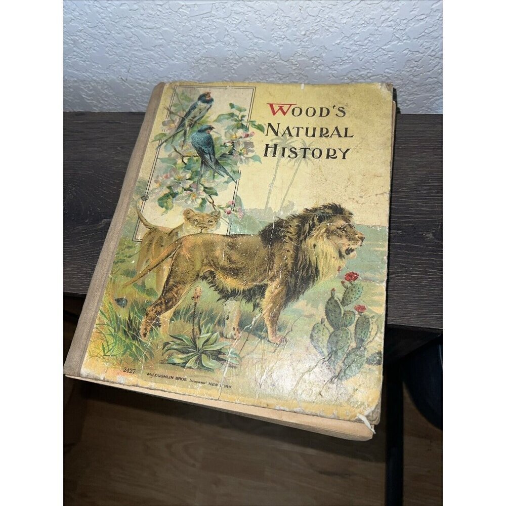 Illustrated Natural History By Rev JG Wood Antique Nature Wildlife Book